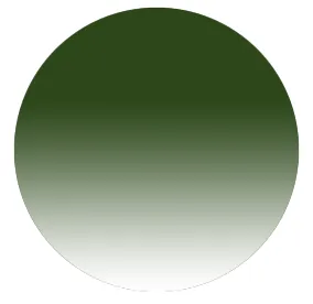 Color swatch image