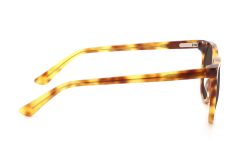 AE1071-S