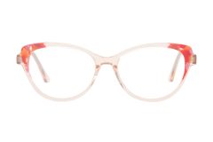 AE1079 C2-1 AE1079