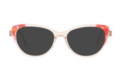 AE1079 C2-5 AE1079-S