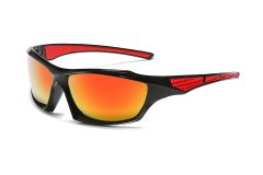 SP530 C2-2 SP530 C2